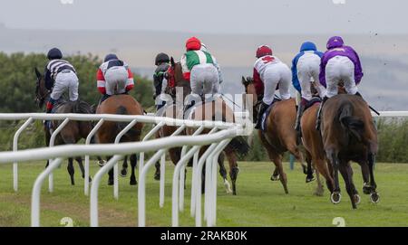 Brighton, Großbritannien. 14. Juli 2023. Ein allgemeiner Überblick über Läufer und Fahrer, die sich während der At the Races App Form Study Handicap auf der Brighton Racecourse auf den Weg machen. Kredit: James Boardman/Alamy Live News Stockfoto