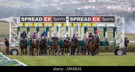 Brighton, Großbritannien. 14. Juli 2023. Eine allgemeine Ansicht, wie Läufer und Fahrer zu Beginn der At the Races App Form Study Handicap auf der Brighton Racecourse aus den Verkaufsständen kommen. Kredit: James Boardman/Alamy Live News Stockfoto