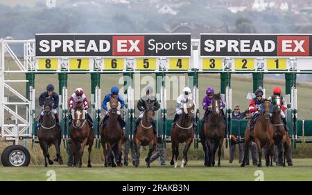 Brighton, Großbritannien. 14. Juli 2023. Eine allgemeine Ansicht, wie Läufer und Fahrer zu Beginn der At the Races App Form Study Handicap auf der Brighton Racecourse aus den Verkaufsständen kommen. Kredit: James Boardman/Alamy Live News Stockfoto