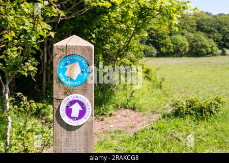 Ein öffentliches Wegweiser-Schild für den Platinum Jubilee Trail in West Norfolk. Stockfoto