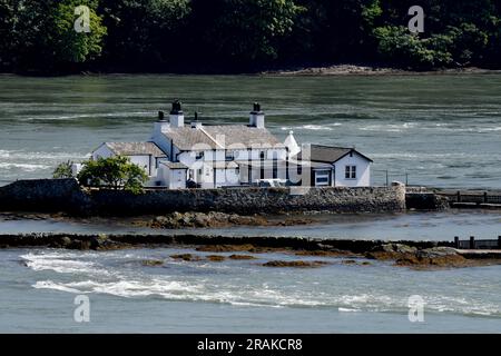 Ynys aufspießen Goch, rot Wehr Whitebait Insel, in der Menai Straits Stockfoto