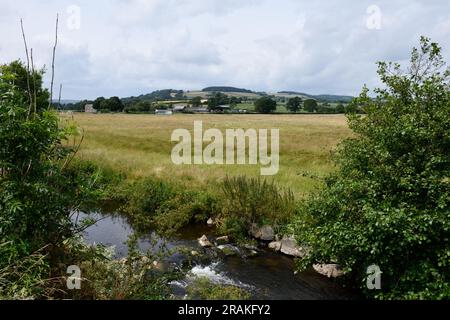 Coly River, der durch Colyton Town im Coly Valley East Devon England fließt Stockfoto