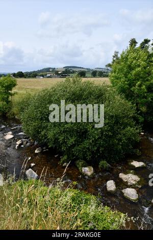 Coly River, der durch Colyton Town im Coly Valley East Devon England fließt Stockfoto