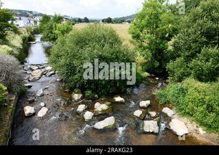 Coly River, der durch Colyton Town im Coly Valley East Devon England fließt Stockfoto