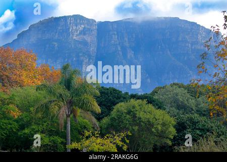 Die Aussicht vom Gipfel des Tafelbergs an einem schönen Wintertag. Auch Blick auf die Rückseite des Tafelbergs aus einem Park in Kapstadt. Stockfoto