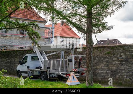 Die Hebebühne steht auf dem Bürgersteig vor dem Hintergrund einer antiken Steinmauer. Baumschnitt im Frühling. Stockfoto