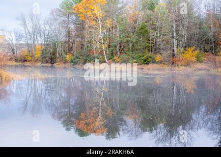 Nebel über dem Millers River im Birch Hill Reservation in Royalston, Massachusetts Stockfoto