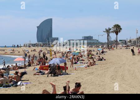 Barcelona, Spanien. 1. Juli 2023. Einheimische und ausländische Touristen genießen den Sommer am Strand von Barcelona. (Kreditbild: © Tubal Sapkota/Pacific Press via ZUMA Press Wire) NUR REDAKTIONELLE VERWENDUNG! Nicht für den kommerziellen GEBRAUCH! Stockfoto