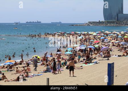 Barcelona, Spanien. 1. Juli 2023. Einheimische und ausländische Touristen genießen den Sommer am Strand von Barcelona. (Kreditbild: © Tubal Sapkota/Pacific Press via ZUMA Press Wire) NUR REDAKTIONELLE VERWENDUNG! Nicht für den kommerziellen GEBRAUCH! Stockfoto