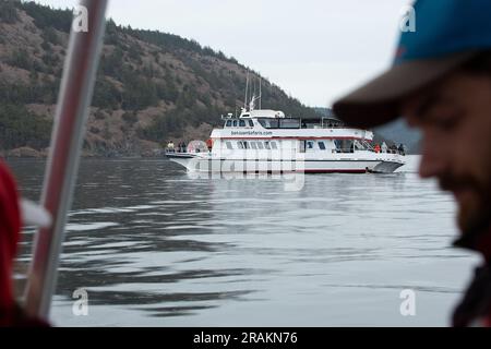 Friday Harbor, Washington, USA - 11.09.2021: Ein Blick auf die Menschen, die an der Walbeobachtung auf einem San Juan Safaris Boot auf dem Meer teilnehmen. Stockfoto