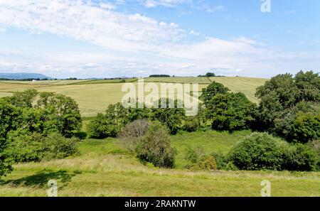 Landschaften auf Feldern in der Nähe von Raglan Castle, Monmothshire, South Wales, Großbritannien. 25. vom Juni 2023 Stockfoto