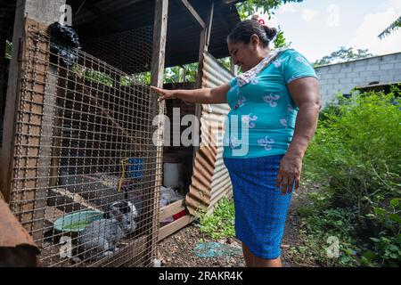 Ahuachapán, El Salvador - November 04 2022: Salvadorianische Frau in Aqua steht vor ihrem Haus mit einigen Kaninchen in einem sehr kleinen Raum Stockfoto