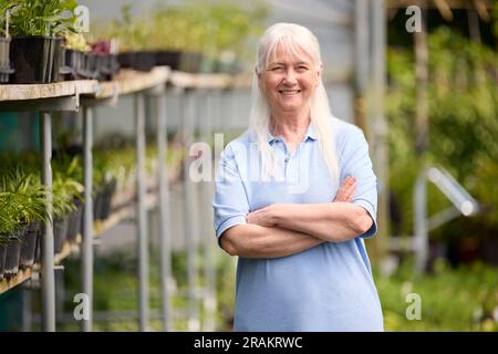 Porträt Einer Pensionierten Seniorin, Die Teilzeitstelle Im Garden Centre, Die Pflanzen Im Gewächshaus Oder Im Polytunnel Überprüft Stockfoto