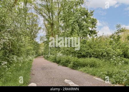 Ein schmutziger Pfad inmitten einiger Büsche und Bäume mit weißen Blumen auf beiden Seiten, es gibt einen blauen Himmel Stockfoto