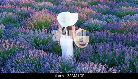 Teenager mit Korb, die im Lavendelpark spazieren geht. Teenager mit Lavendel im Feld. Teenager-Mädchen mit Lavendelblume, die auf dem Feld steht. Mit Teenager-Mädchen Stockfoto