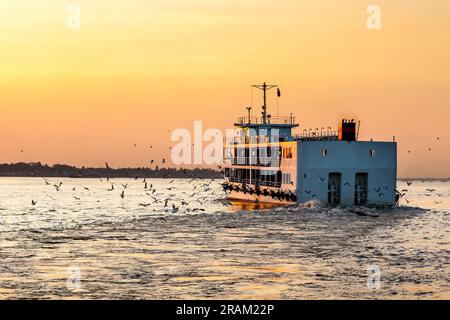 Fähre bei Sonnenuntergang in Yangon, Myanmar. Möwen folgen dem Schiff. Stockfoto