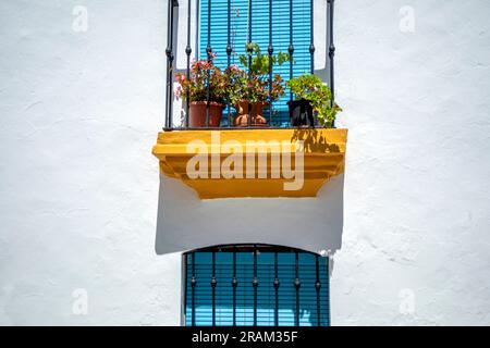 Typische Fassade der weißen Dörfer Andalusiens, Spanien, mit Balkon und intensiv blauem Rollladen und Töpfen mit Blumen Stockfoto