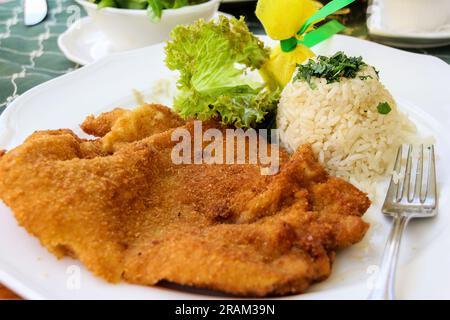 Wiener Schnitzel mit Reis als Beilage und Zitronen- und Salatblättern als Deko auf dem Teller Stockfoto