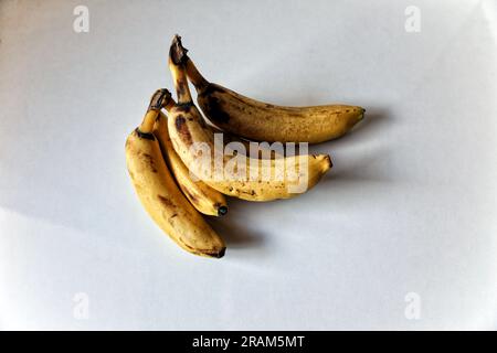 Reife türkische Hybridbananen mit neutralem Hintergrund Stockfoto