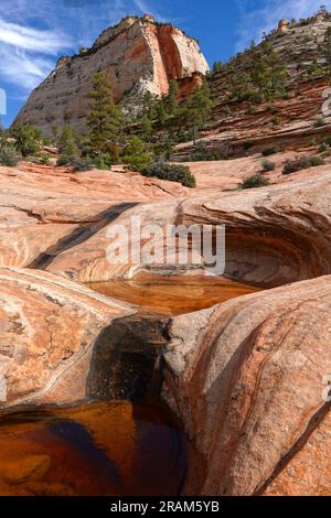 Pools und Felsformationen im Zion-Nationalpark Stockfoto