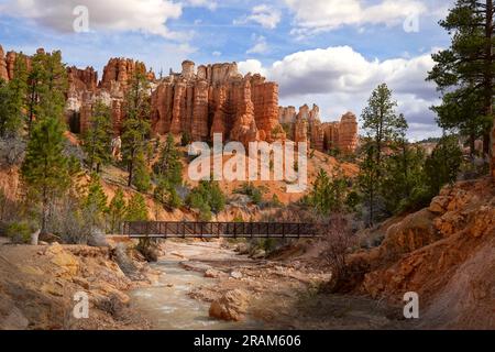 Landschaften entlang des Mossy Cave Trail im Bryce Canyon-Nationalpark Stockfoto