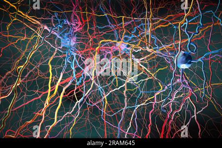 Neuronen oder Nervenzellen im neuronalen Netzwerk--3D-Darstellung Stockfoto