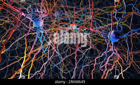 Neuronen oder Nervenzellen im neuronalen Netzwerk--3D-Darstellung Stockfoto