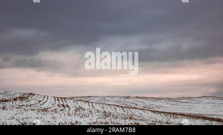 Der Himmel über schneebedeckten Maisstoppeln wird vom Moody Marschhimmel überzogen Stockfoto