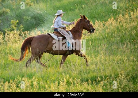 Cowhand Ada reitet auf der Weide von Dennis Ranch, Red Owl, South Dakota. Stockfoto