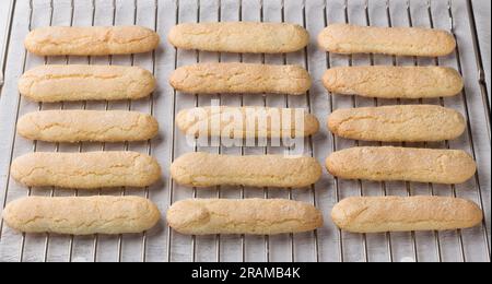 Frisch gebackene hausgemachte savoiardi-Kekse auf einem Drahtgestell. Stockfoto