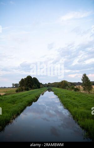 Ein langsam fließender breiter Fluss inmitten üppiger grüner Gräser und hoher Bäume. Stockfoto