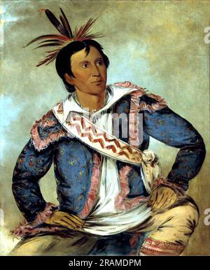 Há-Tchoo-túc-Knie, Schnappschildkröte, ein Halbblut 1834 von George Catlin Stockfoto