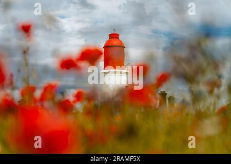 Der rot-weiß gestreifte Souter Lighthouse wurde mit rotem Mohn im Vordergrund fotografiert Stockfoto