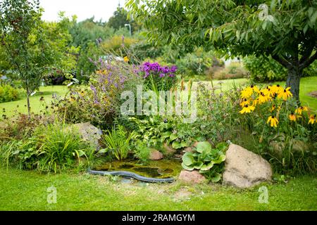 Kleiner künstlicher Teich am Herbsttag im Garten. Wunderschön gestalteter Gartenteich umgeben von verschiedenen Pflanzen und Blumen. Stockfoto
