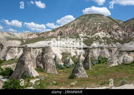 Die unglaubliche vulkanische Landschaft in Pasabag bei Zelve in der kappadokischen Region Turkiye. Stockfoto