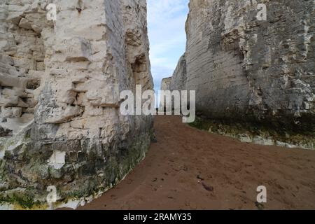 White Chalk Cliffs am Botany Bay Beach, in Broadstairs, in Kent, Großbritannien. Stockfoto