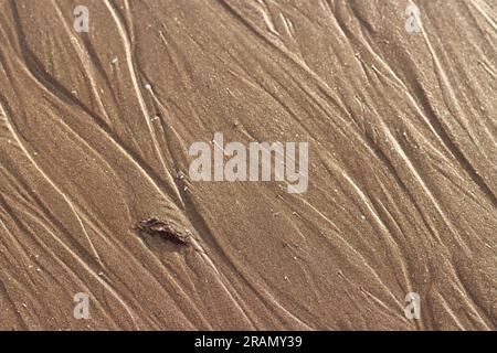 Nasser Boden, Sandstruktur und Kieselsteine am Strand. Textur aus der Nähe und natürlich geschaffene Linien im Sand vom Meer. Stockfoto