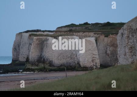 White Chalk Cliffs am Botany Bay Beach, in Broadstairs, in Kent, Großbritannien. Stockfoto