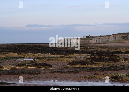 White Chalk Cliffs am Botany Bay Beach, in Broadstairs, in Kent, Großbritannien. Stockfoto