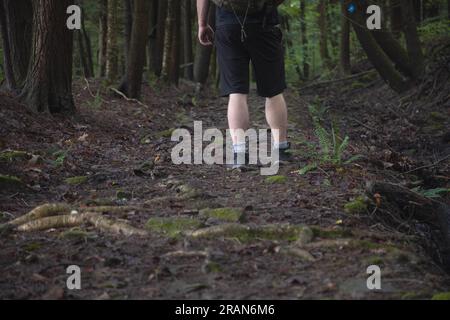 Wanderer auf einem Pfad, der an Hindernissen in den Wäldern vorbeizieht, konzentrieren sich auf Beine und Wanderschuhe, innerhalb des Forest Trails kopieren Sie das Hintergrundthema des Space Banners. Stockfoto