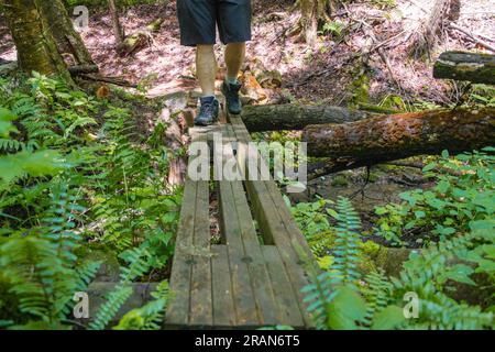 Wanderer auf einem Pfad, der an Hindernissen in den Wäldern vorbeizieht, konzentrieren sich auf Beine und Wanderschuhe, innerhalb des Forest Trails kopieren Sie das Hintergrundthema des Space Banners. Stockfoto