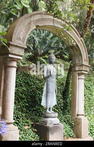 Bögen entlang des Arch Walk in den tropischen Gärten von Monte, Funchal, Madeira, Portugal Stockfoto