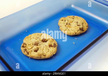 Schokolade- und Nusskekse auf blauer Glasplatte mit weißem Hintergrund Stockfoto