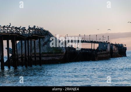 Nahaufnahme der SS Palo Alto, ein altes Schiffswrack aus dem Zweiten Weltkrieg bei Sonnenuntergang, vor der Küste von Aptos, in der Nähe von seacliff Beach, Californa Stockfoto