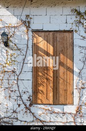 Weinbaugebäude mit weißen Steinwänden bedeckt mit Trauben- und Schindeldach an sonnigen Tagen Stockfoto