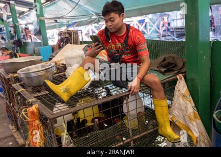 Am 22. Februar 2023 sitzt ein Marktarbeiter mit seinem Handy auf einem Käfig mit Geflügeltieren auf dem Khlong Toei Market in Bangkok, Thailand. Stockfoto