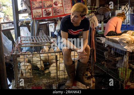 Ein Marktarbeiter sitzt am 22. Februar 2023 auf einem Käfig mit Geflügeltieren auf dem Khlong Toei Market in Bangkok Thailand. Stockfoto