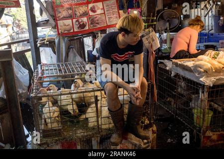 Ein Marktarbeiter sitzt am 22. Februar 2023 auf einem Käfig mit Geflügeltieren auf dem Khlong Toei Market in Bangkok Thailand. Stockfoto