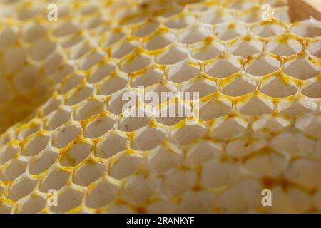 Wabenbienen Nahaufnahme in einem Holzrahmen ein arbeitender buckfast Bienenstock. Der Begriff der Bienenzucht. Stockfoto