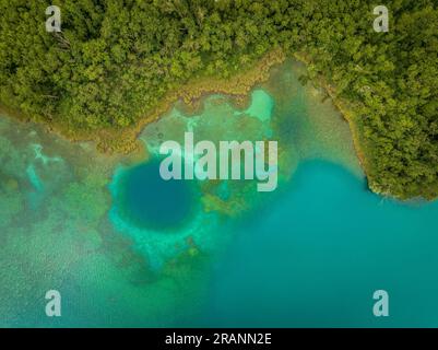 Blick aus der Vogelperspektive auf den See Estany de Banyoles, den Wald am Flussufer und Unterwasserdetails (Pla de l'Estany, Girona Catalonia) Stockfoto